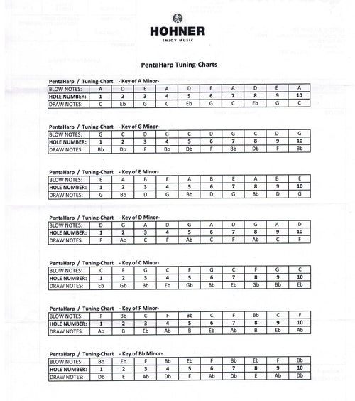 Hohner PentaHarp Harmonica LF-Minor Hohner Inc, USA Harmonica for sale canada