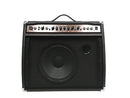 Beaver Creek  Acoustic 40W Amplifier, BCAMP-40A,Hamilton,Canada