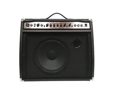 Beaver Creek  Acoustic 40W Amplifier, BCAMP-40A,Hamilton,Canada