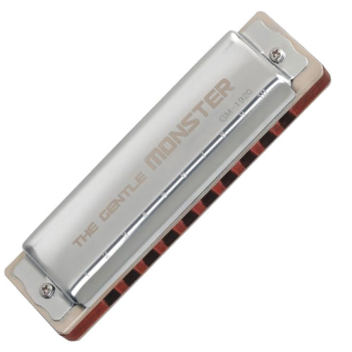 JDR Gentle Monster Diatonic Harmonica,Hamilton,Canada