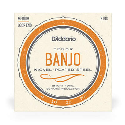 D'Addario EJ63 - Nickel Tenor Banjo Medium Loop End,Hamilton,Canada