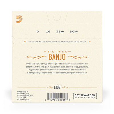 D'Addario EJ63 - Nickel Tenor Banjo Medium Loop End,Hamilton,Canada