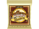 Earthwood Medium Acoustic Guitar Strings 2002,Hamilton,Canada