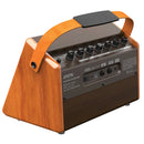 AROMA AG-26A 25W Portable Acoustic Guitar Amplifier Aroma Guitar Accessories for sale canada