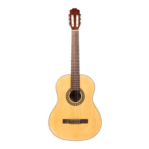 Beaver Creek 901 Series Classic Left-Handed BCTC901L Guitar Beaver Creek Guitar for sale canada