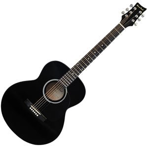 BeaverCreek 101 Series Folk Acoustic BCTF101 Guitar Folk Black BeaverCreek Guitar for sale canada