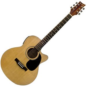 BeaverCreek 101 Series Folk Acoustic/Electric BCTF101CE Guitar BeaverCreek Guitar for sale canada