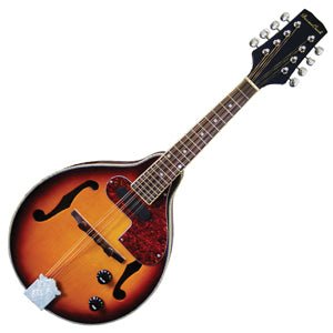 BeaverCreek Acoustic/Electric BCMM201E Mandolin BeaverCreek Instrument for sale canada