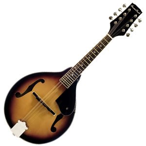 BeaverCreek BCMM201 Mandolin BeaverCreek Instrument for sale canada