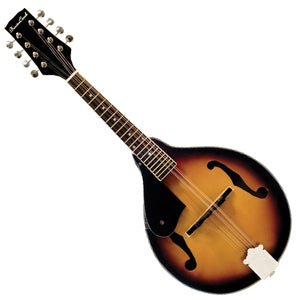 BeaverCreek Left-Handed BCMM201L Mandolin BeaverCreek Instrument for sale canada