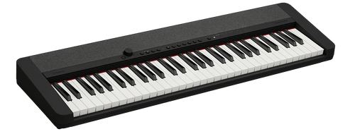 Casio CT-S1 Electronic Keyboard 61-Key Black Casio Instrument for sale canada