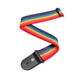 D'Addario Woven Guitar Strap W/Leather Ends PWS Rainbow D'Addario &Co. Inc Guitar Accessories for sale canada