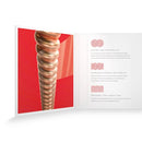 D'Addario XS Phosphor Bronze Acoustic Guitar Strings - Medium, 13-56 D'Addario &Co. Inc Guitar Accessories for sale canada