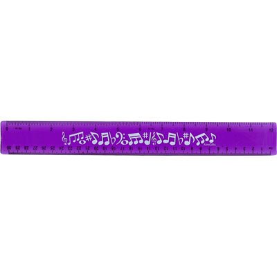 FLEX RULER 12" WITH NOTES Purplre Aim Gifts Novelty for sale canada