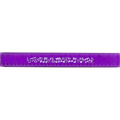 FLEX RULER 12" WITH NOTES Purplre Aim Gifts Novelty for sale canada