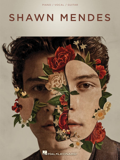 Shawn Mendes Hal Leonard Corporation Music Books for sale canada