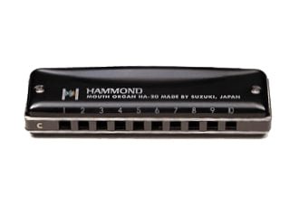 Suzuki HA-20 'Hammond' Diatonic Harmonica C Suzuki Harmonica for sale canada